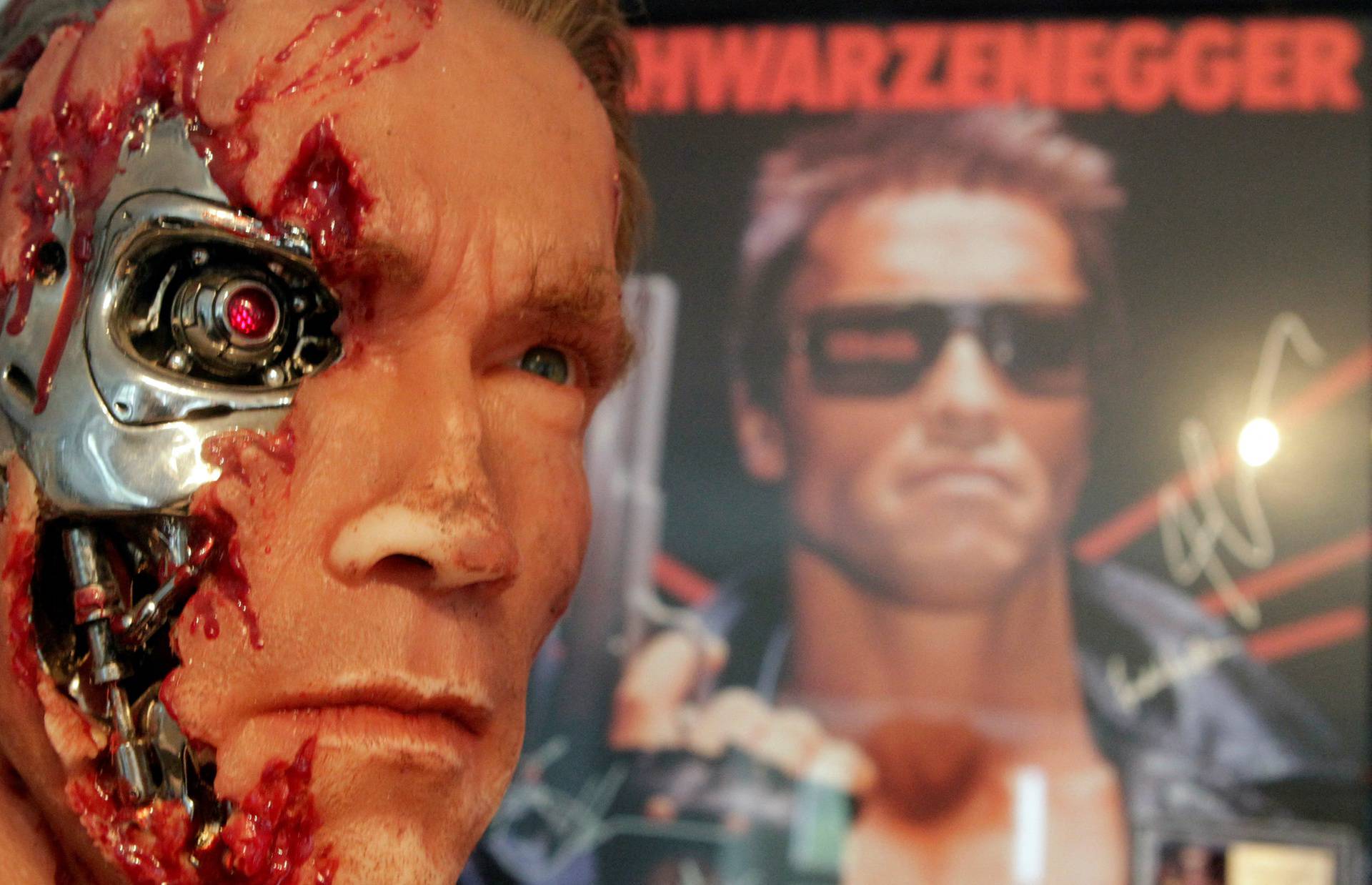 FILE PHOTO: A figure from the movie 'The Terminator' is displayed inside the house where Austrian actor and former California governor Schwarzenegger was born in Thal