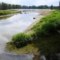 Čišćenje korita Drave: Povijesno niski vodostaj iskoristili smo za micanje naplavina i otpada
