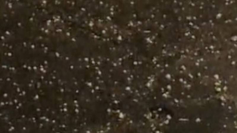 VIDEO Snažna tuča zahvatila je Rijeku: 'Porazbijala mi je lozu'