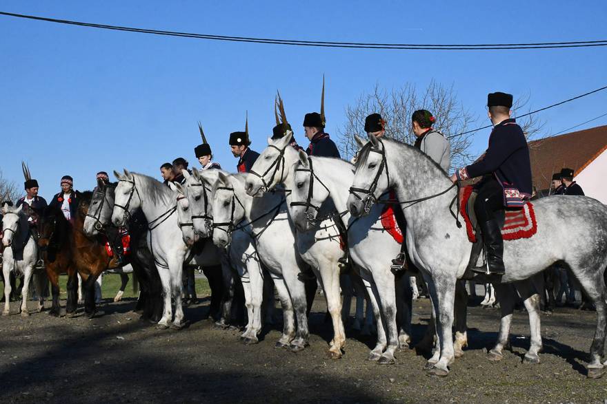 Pokladno jahanje u Kupini okupilo više od stotinu konjanika na gizdavim lipicancima
