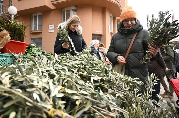 Zagreb: Prodaja maslinovih grančica uoči Cvjetnice