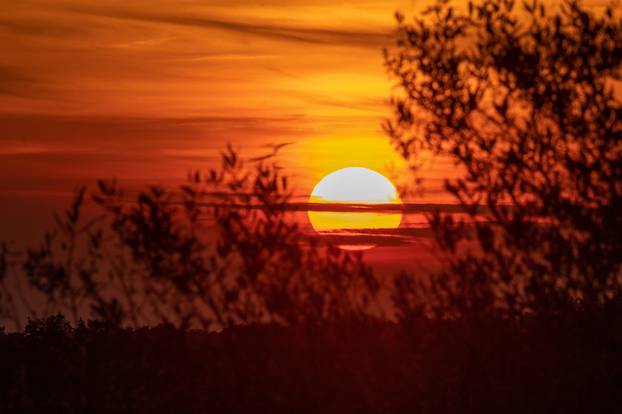 Zalazak sunca iznad maslinika u Balama