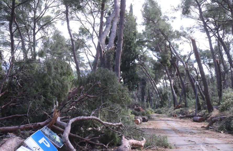 Posljedice velikog nevremena u Splitu, Marjan oštećen i zatvoren za građane