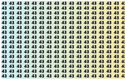 Možete li na fotografiji pronaći broj 42 u samo 18 sekundi?