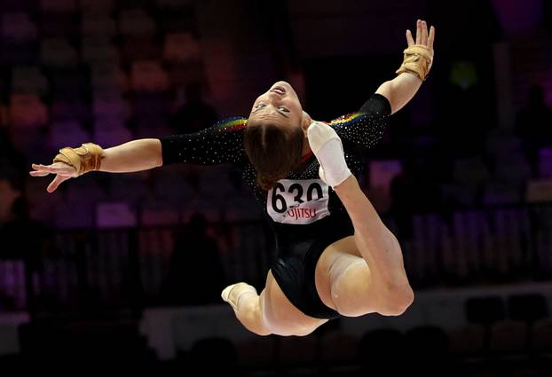 2025 World Artistic Gymnastics Championships