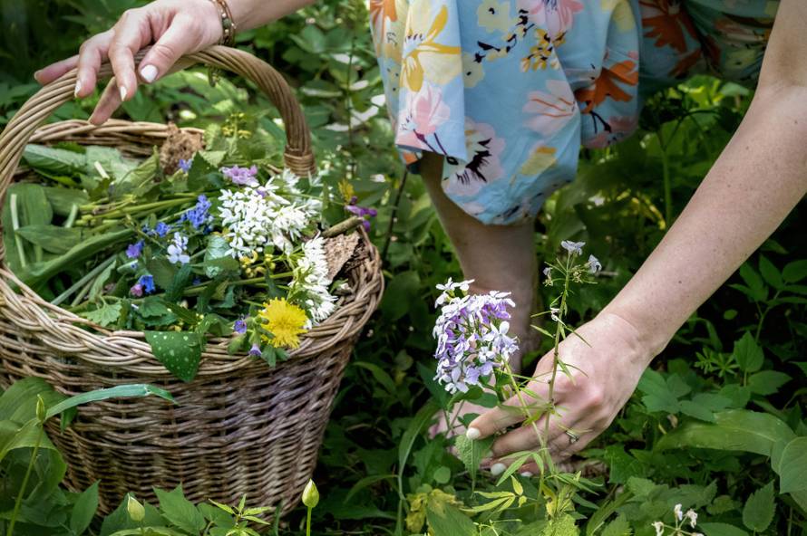 Otkrivamo zašto sve više kupaca bira Biljarica krute šampone i regeneratore