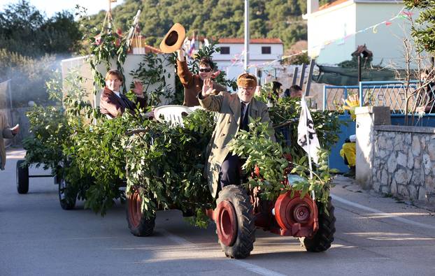 Jezera: Maškarana povorka prodefilirala je Jezerima