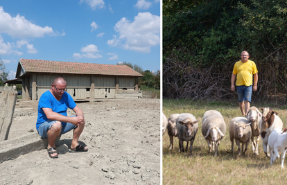 Čovjek s potresne fotografije ubijene svinje zamijenio je ovcama: Najteža je bila tišina...