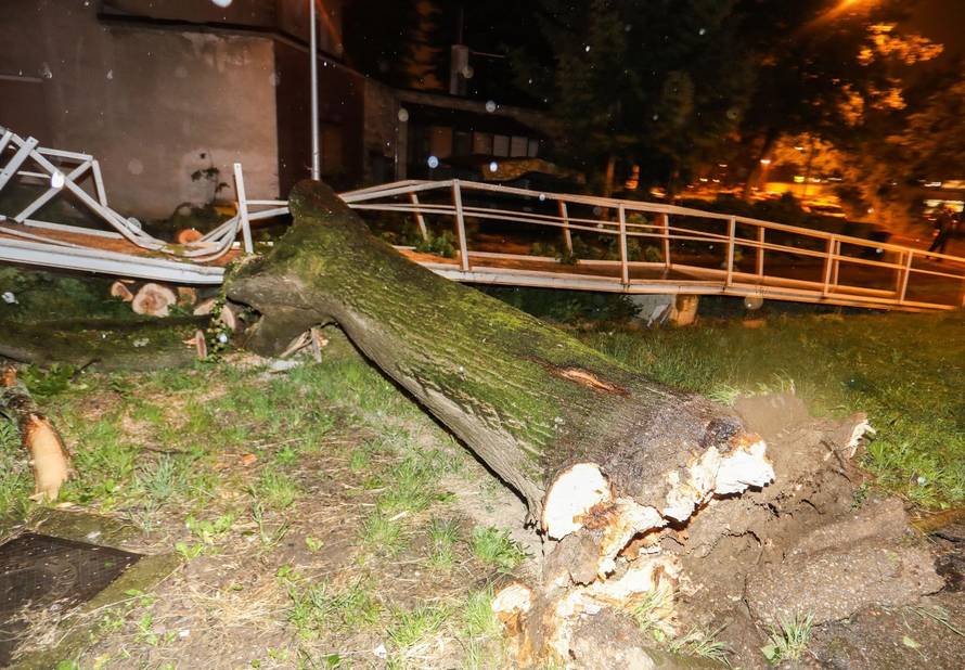 Zagreb: Vjetar srušio stablo na invalidski prilaz stambene zgrade