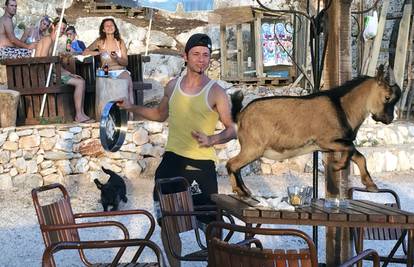 One se druže s gostima: Nenad Hervatin u kafić je doveo koze