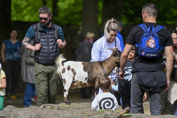 Zagreb: Podjela pisanica uz edukativni pogram za djecu u zoološkom vrtu
