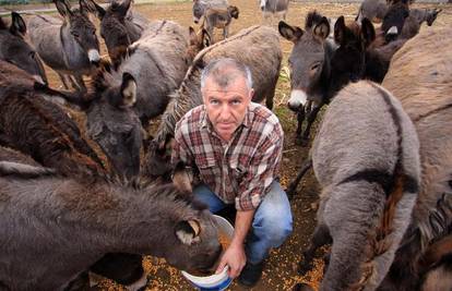 Otac magarećim miljekom hrani svojih petero djece