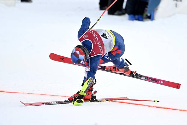 Saalbach: Svjetsko skijasko prvenstvo 2025 - veleslalom muški, druga vožnja