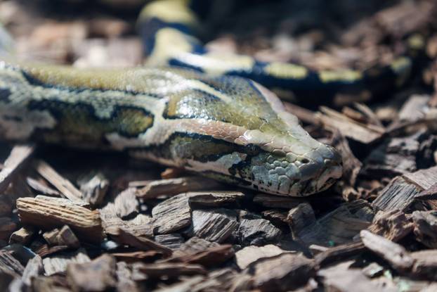 Zagreb: Timaritelj Marijan Bacan odlazi u mirovinu nakon 40 godina provedenih u Zoološkom vrtu grada Zagreba