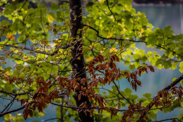 Kišno jesenski ugođaj na Plitvičkim Jezerima