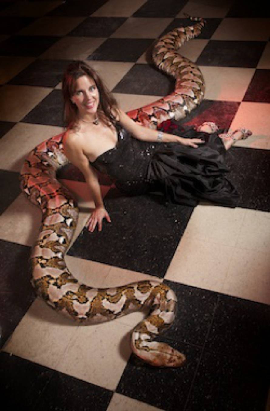 guinnessworldrecords.com