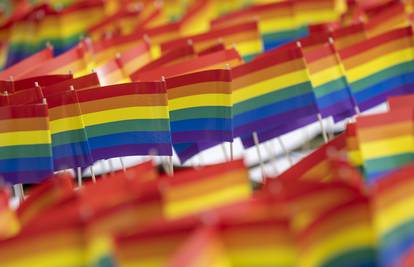 Japanski sud: Zabrana gay brakova nije protuustavna