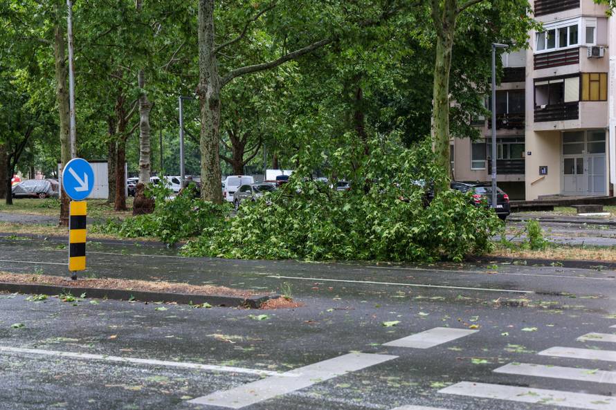 Zagreb: Vatrogasci uklanjaju stablo koje je palo u Ulici Svetog Mateja