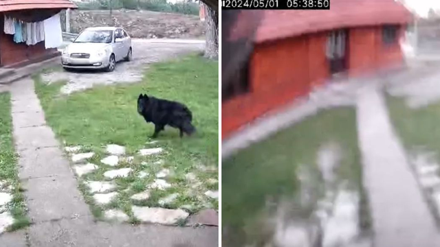 VIDEO Pogledajte kako je treslo u Rakovici: 'Pas se uznemirio!'