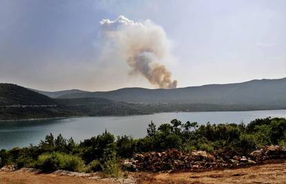 Ston: U velikom požaru izgorjelo 40 hektara šume