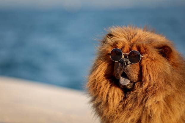 Zadar: Turisti uživaju u šetnji gradom