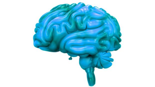 Najpametniji na svijetu: 50 ljudi s najvećim IQ rezultatom ikad