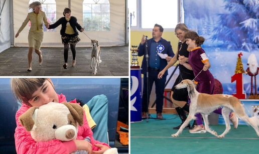 Kaja je dijete-an&dstrok;eo, ali ima i svoje an&dstrok;ele &ccaron;uvare s kojima osvaja srca na izlo&zcaron;bama pasa!