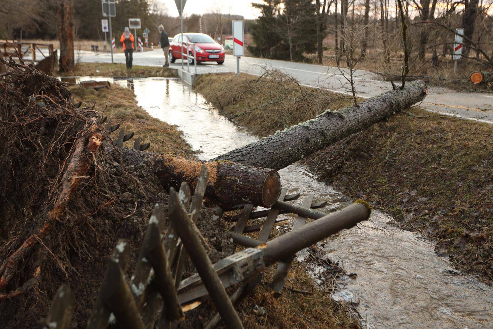 Storm low Ylenia - Harz