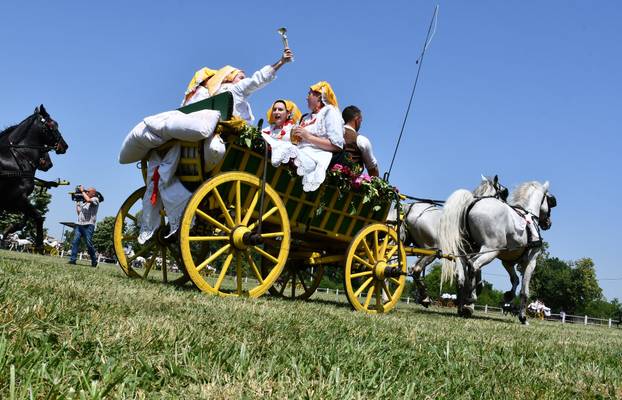 FOTO U znaku tradicije: Na 44. manifestaciji 'Konji bijelci' vozile su se i svadbarske kočije