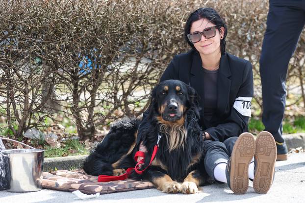 Zaprešić: Ispred Wesgatea održana međunarodna izložba pasa