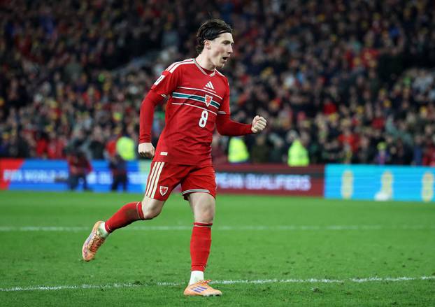 FIFA World Cup - UEFA Qualifiers - Semi Final - Wales v Bosnia and Herzegovina