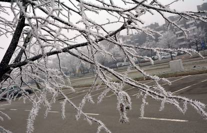 Elementarna nepogoda zbog mraza: Šteta 50 milijuna kuna