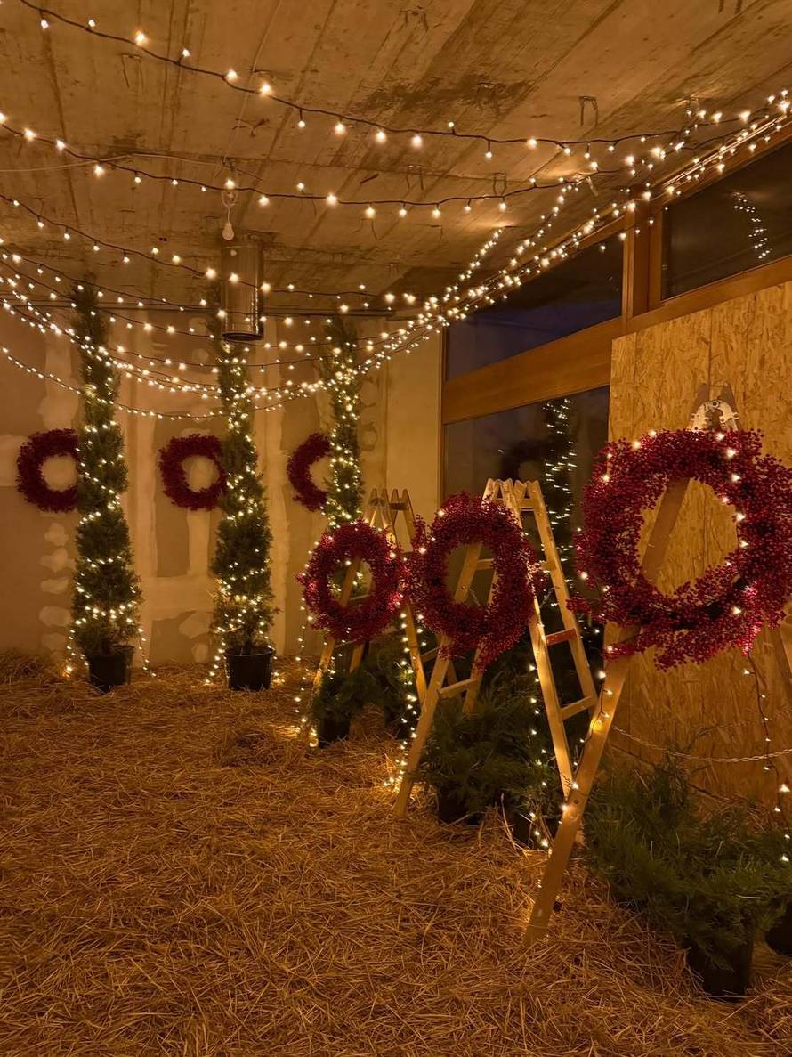 DOZNAJEMO Severina je otkrila gdje seli: Ovo su obrisi novog doma, tamo već odvela i majku