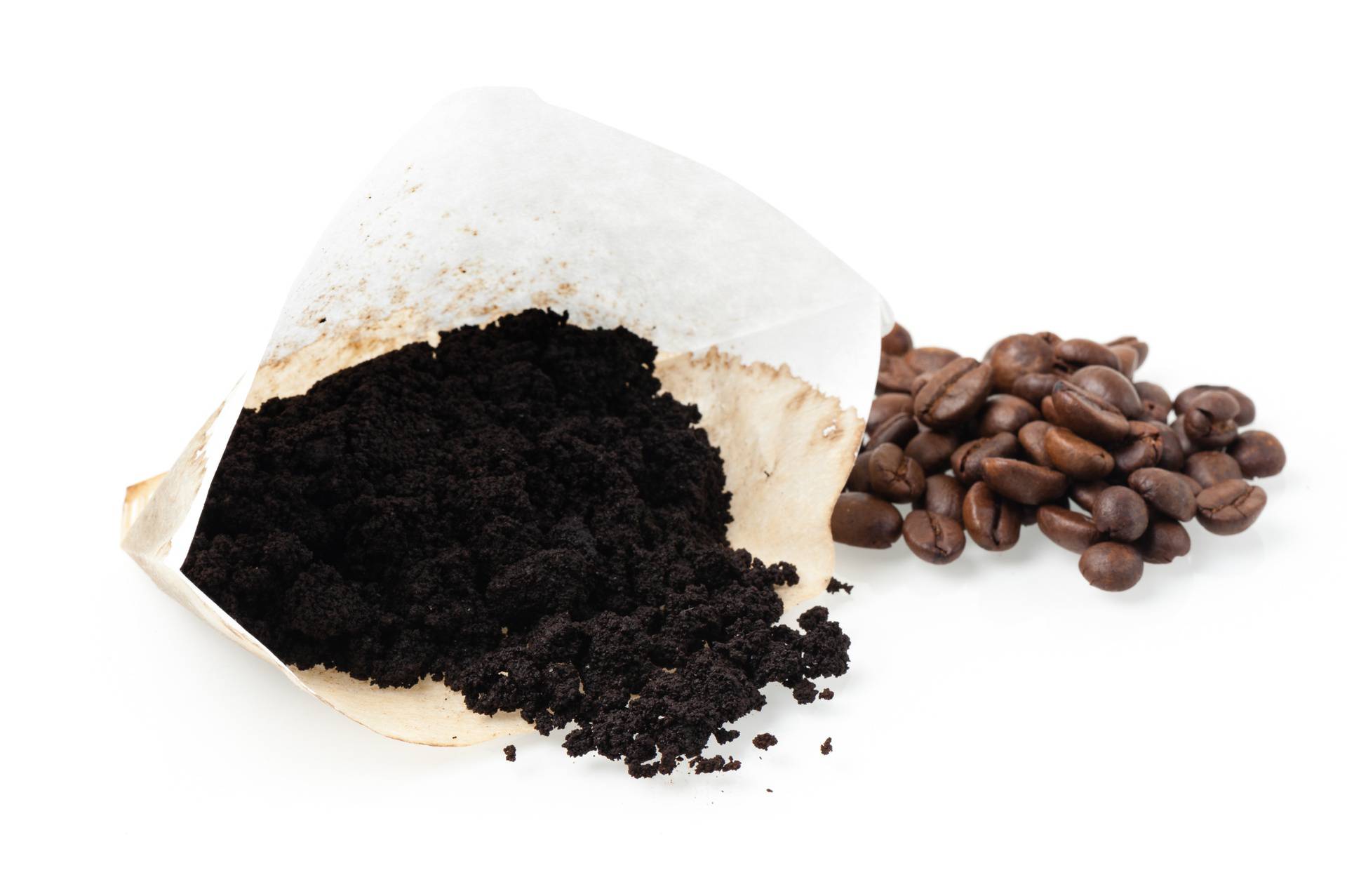 Filter za kavu ima višestruke koristi u kućanstvu, evo i koje