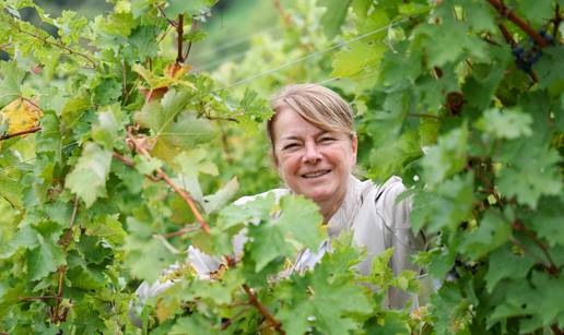 Enologinja Jasminka: Zagorci, evo ovak' se dela pravo vino!
