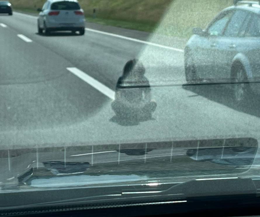 FOTO Kad mislite da ste vidjeli baš sve: Opasni pothvat čovjeka na A1, sjeo je na sredinu ceste!