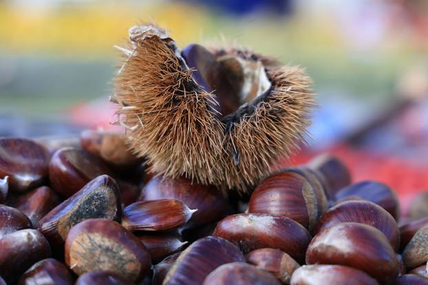 Zagreb: Na Dolac stigli prvi ovogodišnji kesteni, cijene su od 5 do 7 eura