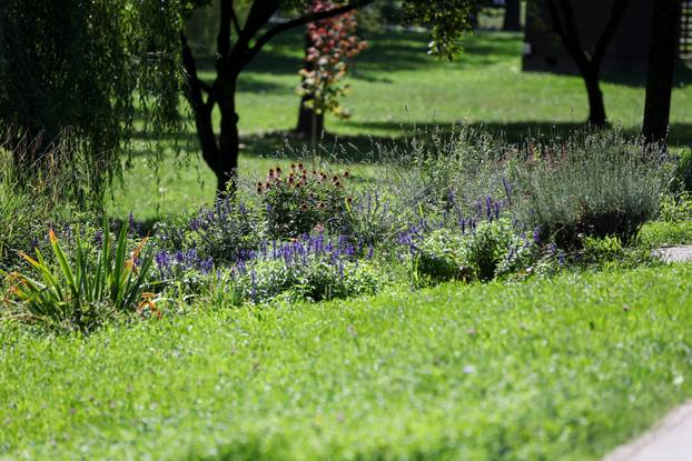 Započela je sezona alergenih biljaka u Zagrebu