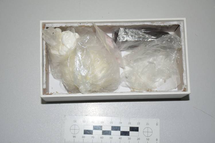 Uhitili dvojicu dilera i zaplijenili preko 750 grama amfetamina