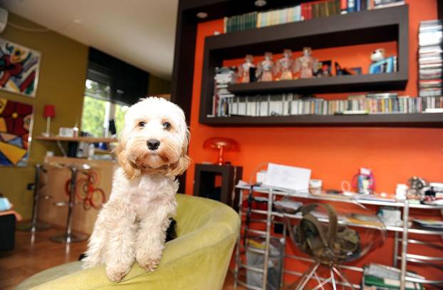 FOTOGALERIJA Pogledajte kako je nekoć izgledao obiteljski dom u kojem su živjeli Dvornikovi