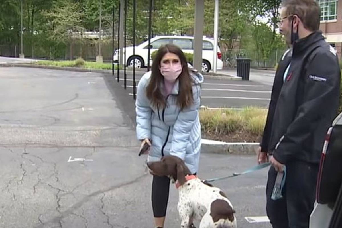 VIDEO Reporterka izvještavala o ukradenom psu pa ugledala otmičara kako ga šeta