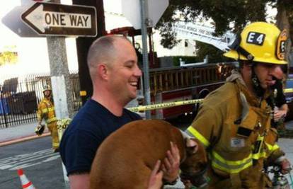 Svaka čast: Vatrogasci iz požara izvukli psa i oživjeli ga
