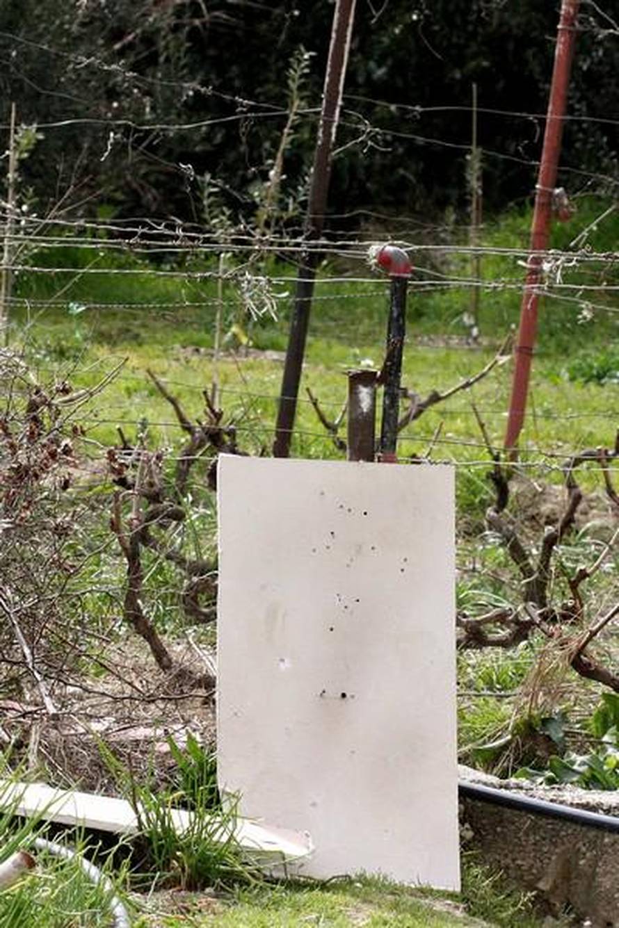 I. Ivanović/Pixsell