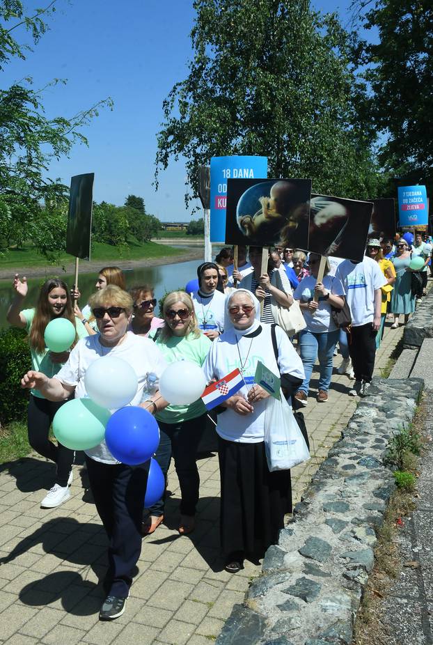 Aktivisti Hoda za slobodu i Hoda za život prodefilirali Siskom