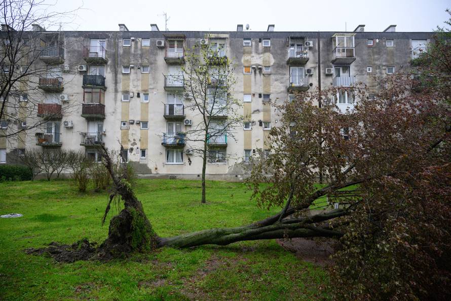 Zagreb: Olujni vjetar poharao Špansko, dignuti krovovi i isčupana stabla 