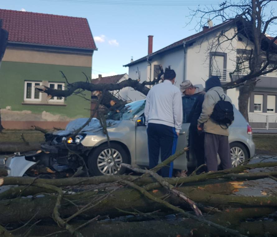 Stablo smrskalo auto u vožnji: Vozačicu spremaju za operaciju