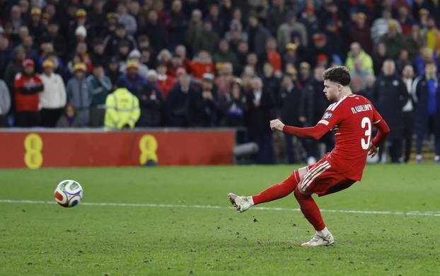 FIFA World Cup - UEFA Qualifiers - Semi Final - Wales v Bosnia and Herzegovina