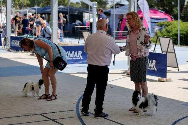 Zaton: Međunarodna izložba pasa pod nazivom CACIB Zadar 2025