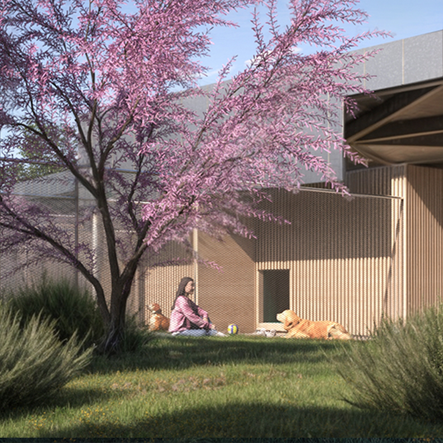 Aerodrom u Rimu otvorio hotel za pse: Kamera, masaže i mirisi za opuštanje, a cijene od 40 €