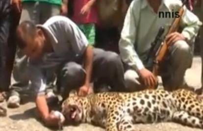 Junački se borila: Žena (56) je ubila leoparda srpom i lopatom 